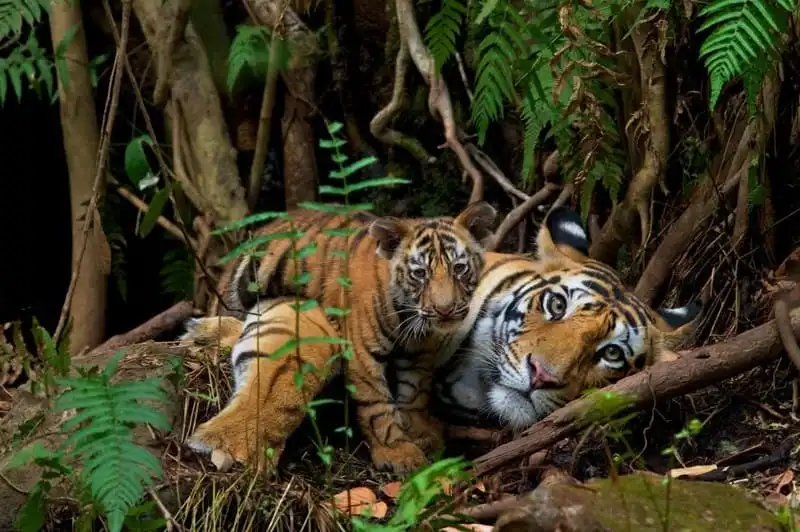 wanderlust-tips-12-buc-anh-thien-nhien-duoc-yeu-thich-nhat-instagram-nam-2016-16