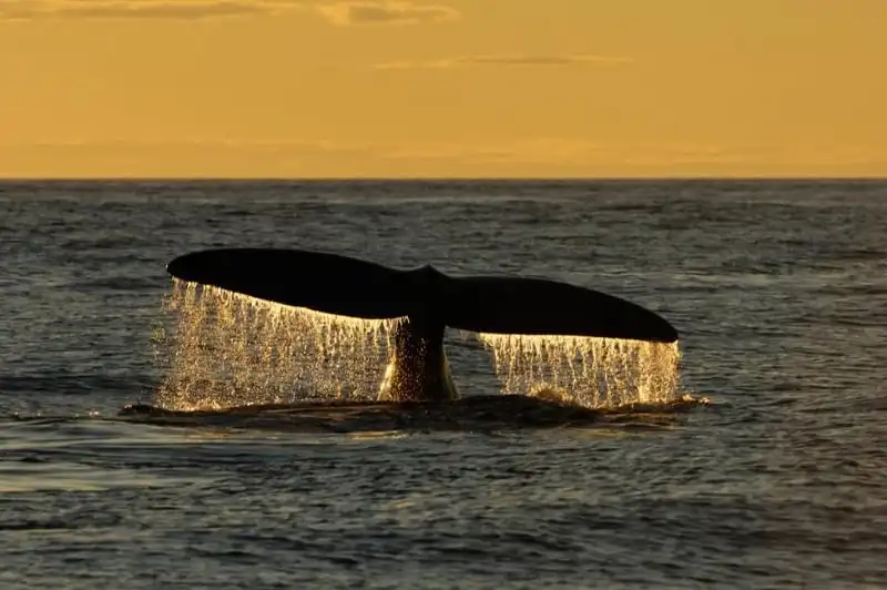 wanderlust-tips-12-buc-anh-thien-nhien-duoc-yeu-thich-nhat-instagram-nam-2016-18