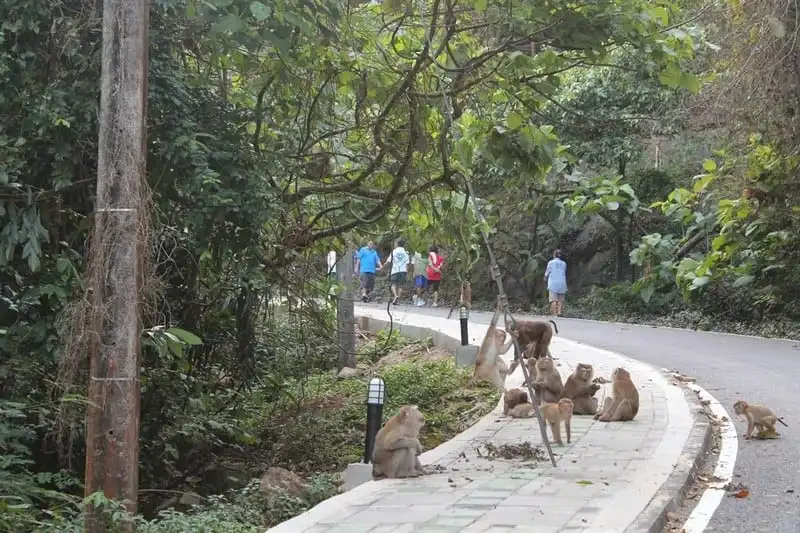 wanderlust-tips-15-diem-du-lich-dong-nam-a-duoc-tim-kiem-nhieu-nhat-8