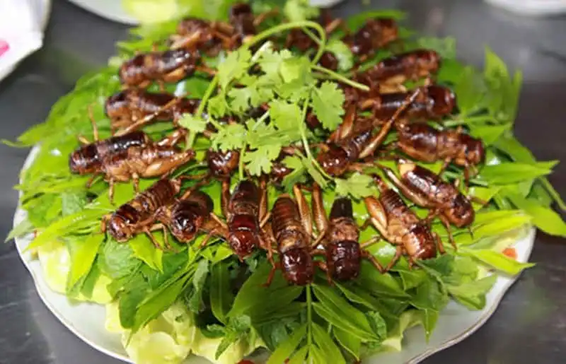 wanderlust-tips-20-mon-dac-san-kon-tum-nuc-tieng-gan-xa-7