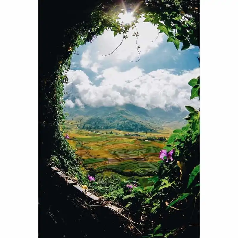 #WhyVietnam phá vỡ nhiều kỷ lục ấn tượng 8 wanderlust-tips-3whyvietnam-pha-vo-nhieu-ky-luc-an-tuong-#