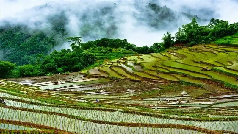 Cẩm nang từ A đến Z du lịch Thanh Hóa 14 wanderlust-tips-cam-nang-tu-a-den-z-du-lich-thanh-hoa-5