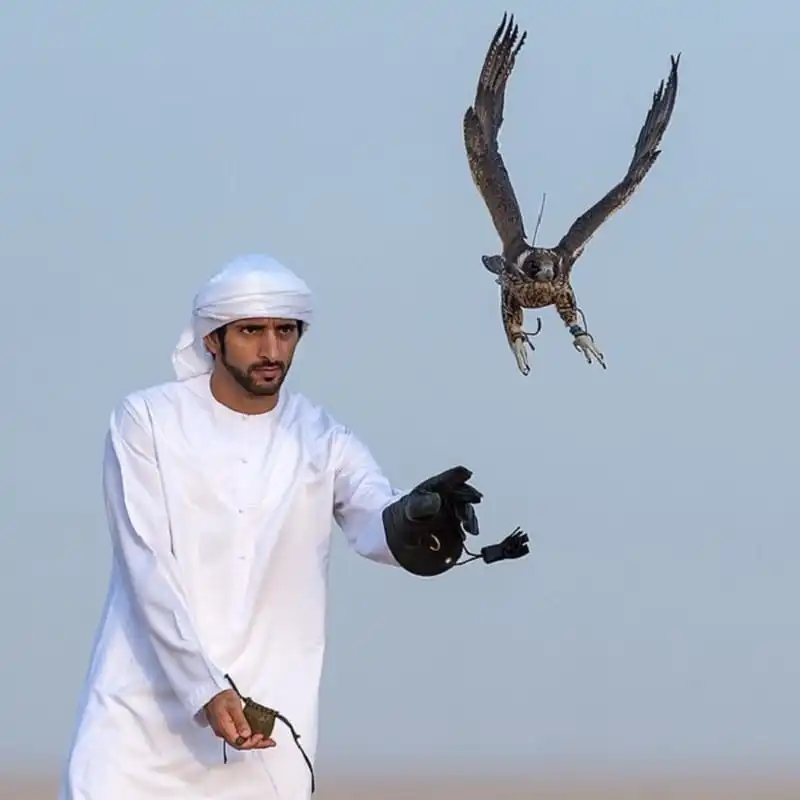 wanderlust-tips-choang-truoc-thu-vui-xa-xi-cua-hoang-tu-dubai-1