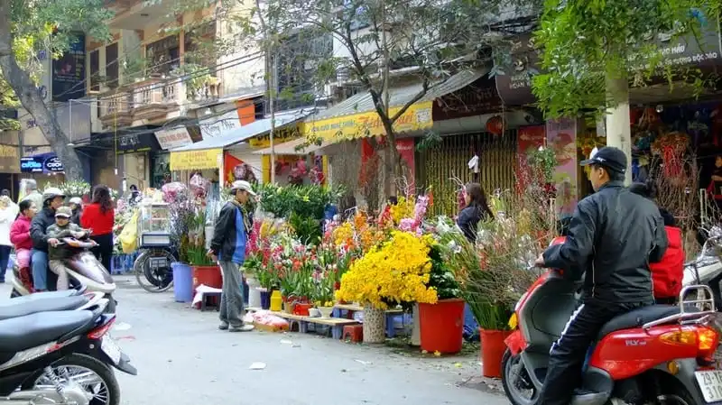 Cận Tết ghé thăm 5 khu chợ hoa nổi tiếng ở Hà Nội 6 wanderlust-tips-diem-danh-5-cho-hoa-noi-tieng-o-ha-noi-dip-tet-nguyen-dan-2