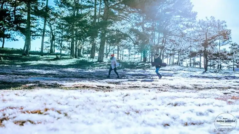 Đồi cỏ hồng biến thành "cánh đồng tuyết" đẹp ngỡ ngàng 16 wanderlust-tips-doi-co-hong-bien-thanh-canh-dong-tuyet-dep-den-ngo-ngang-12