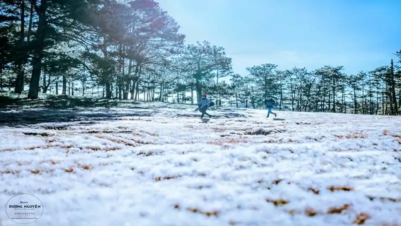 Đồi cỏ hồng biến thành "cánh đồng tuyết" đẹp ngỡ ngàng 17 wanderlust-tips-doi-co-hong-bien-thanh-canh-dong-tuyet-dep-den-ngo-ngang-13