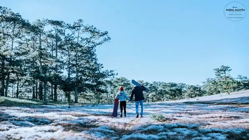 Đồi cỏ hồng biến thành "cánh đồng tuyết" đẹp ngỡ ngàng 18 wanderlust-tips-doi-co-hong-bien-thanh-canh-dong-tuyet-dep-den-ngo-ngang-14