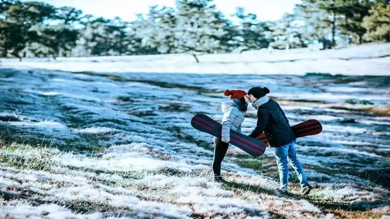 Đồi cỏ hồng biến thành "cánh đồng tuyết" đẹp ngỡ ngàng 19 wanderlust-tips-doi-co-hong-bien-thanh-canh-dong-tuyet-dep-den-ngo-ngang-15