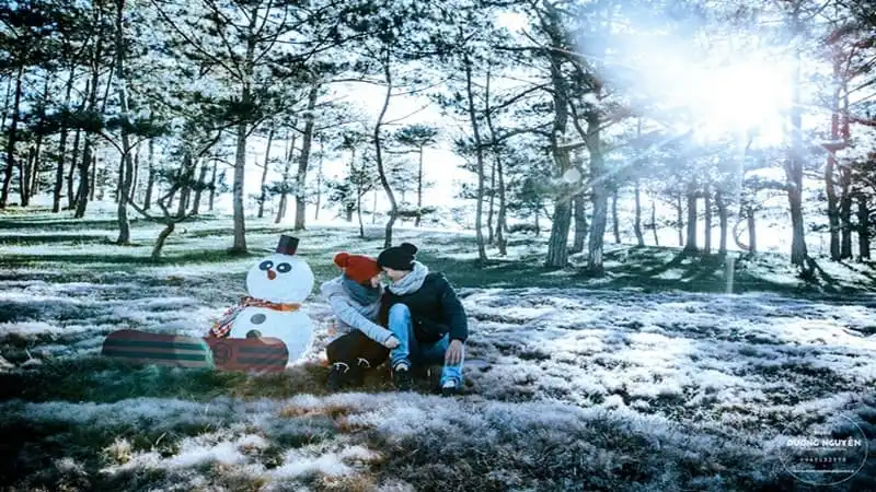 Đồi cỏ hồng biến thành "cánh đồng tuyết" đẹp ngỡ ngàng 7 wanderlust-tips-doi-co-hong-bien-thanh-canh-dong-tuyet-dep-den-ngo-ngang-3