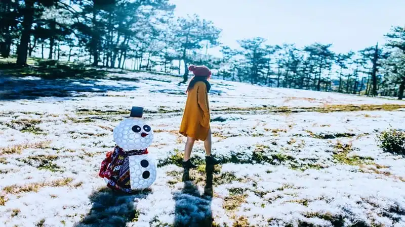 Đồi cỏ hồng biến thành "cánh đồng tuyết" đẹp ngỡ ngàng 8 wanderlust-tips-doi-co-hong-bien-thanh-canh-dong-tuyet-dep-den-ngo-ngang-4