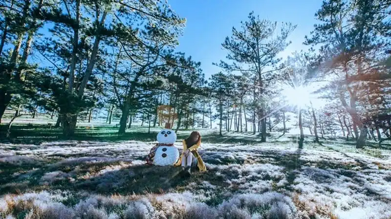 Đồi cỏ hồng biến thành "cánh đồng tuyết" đẹp ngỡ ngàng 9 wanderlust-tips-doi-co-hong-bien-thanh-canh-dong-tuyet-dep-den-ngo-ngang-5