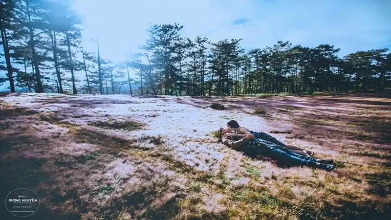 Đồi cỏ hồng biến thành "cánh đồng tuyết" đẹp ngỡ ngàng 11 wanderlust-tips-doi-co-hong-bien-thanh-canh-dong-tuyet-dep-den-ngo-ngang-7