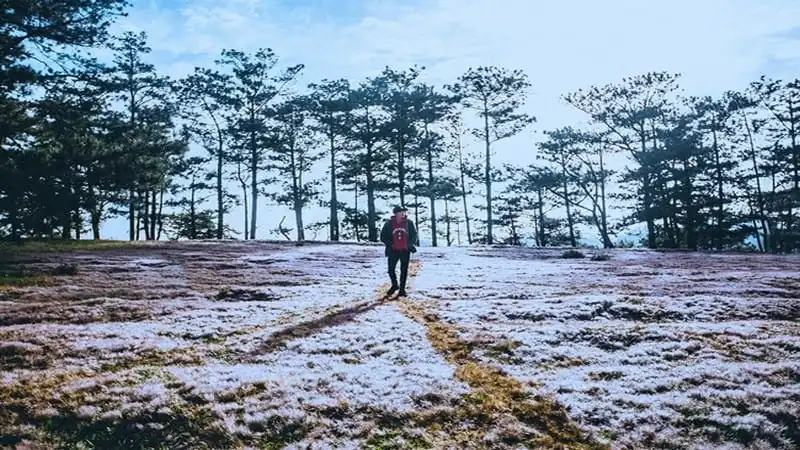 Đồi cỏ hồng biến thành "cánh đồng tuyết" đẹp ngỡ ngàng 12 wanderlust-tips-doi-co-hong-bien-thanh-canh-dong-tuyet-dep-den-ngo-ngang-8