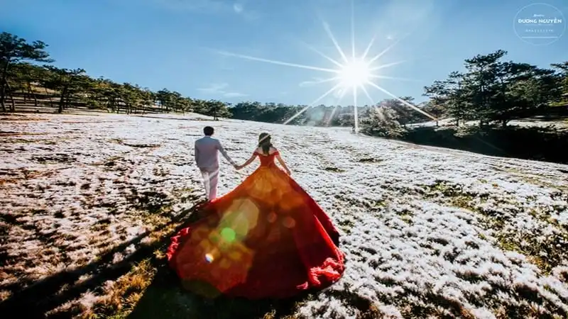 Đồi cỏ hồng biến thành "cánh đồng tuyết" đẹp ngỡ ngàng 13 wanderlust-tips-doi-co-hong-bien-thanh-canh-dong-tuyet-dep-den-ngo-ngang-9