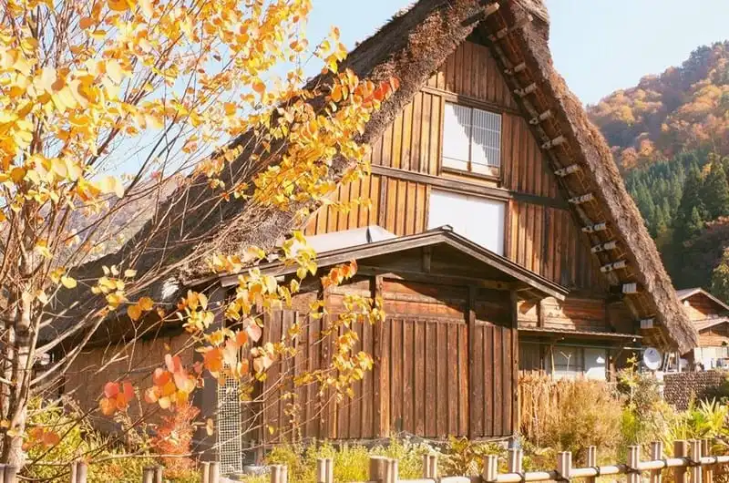 wanderlust-tips-hanh-trinh-15-ngay-du-hanh-nuoc-nhat-dep-nhu-mo-100