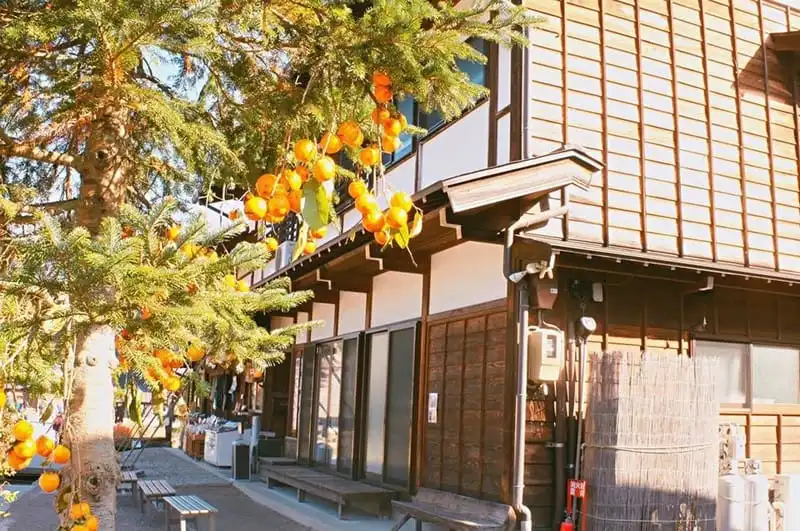 wanderlust-tips-hanh-trinh-15-ngay-du-hanh-nuoc-nhat-dep-nhu-mo-101