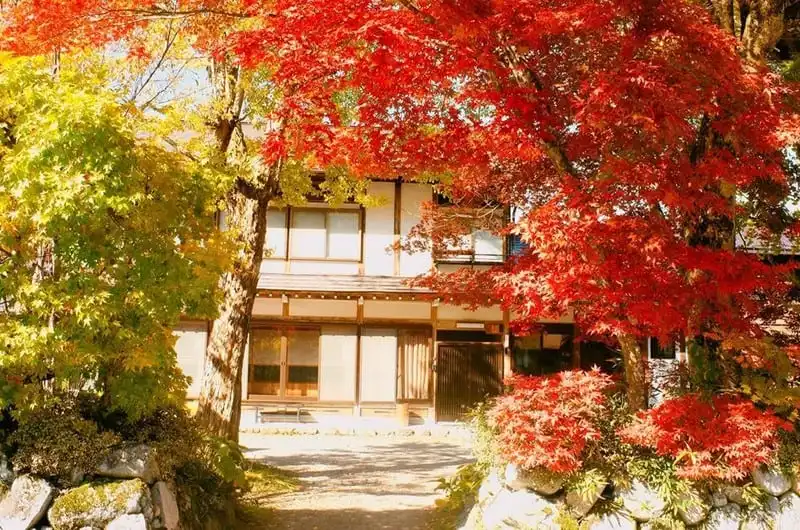 wanderlust-tips-hanh-trinh-15-ngay-du-hanh-nuoc-nhat-dep-nhu-mo-102