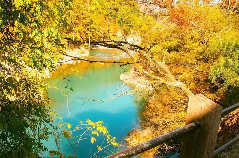 wanderlust-tips-hanh-trinh-15-ngay-du-hanh-nuoc-nhat-dep-nhu-mo-103