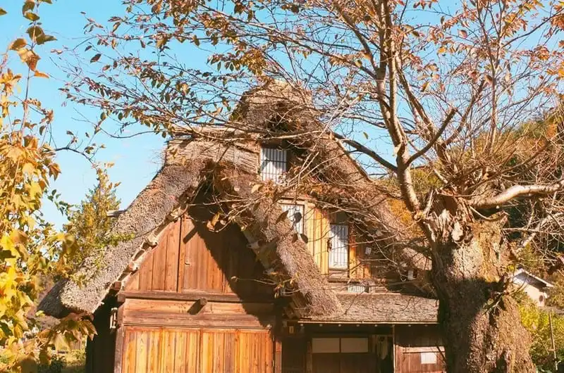 wanderlust-tips-hanh-trinh-15-ngay-du-hanh-nuoc-nhat-dep-nhu-mo-104