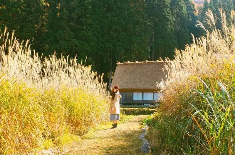 wanderlust-tips-hanh-trinh-15-ngay-du-hanh-nuoc-nhat-dep-nhu-mo-106