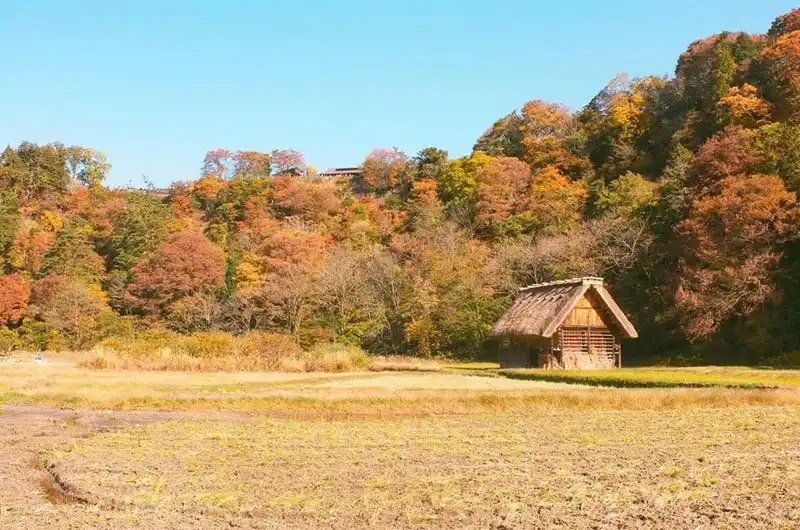 wanderlust-tips-hanh-trinh-15-ngay-du-hanh-nuoc-nhat-dep-nhu-mo-107