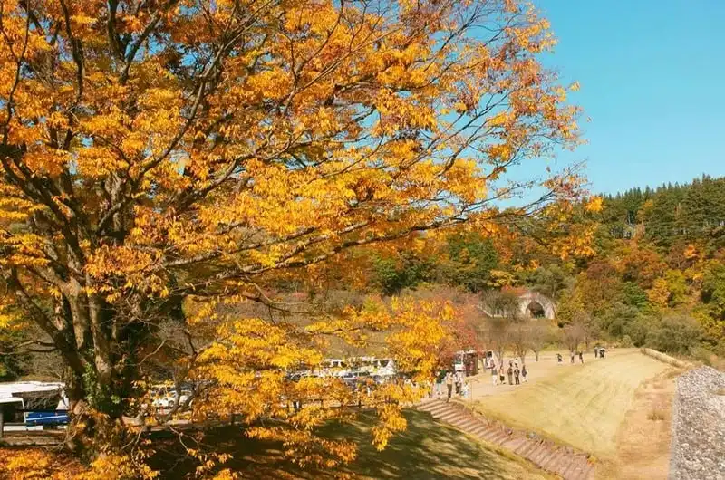 wanderlust-tips-hanh-trinh-15-ngay-du-hanh-nuoc-nhat-dep-nhu-mo-110