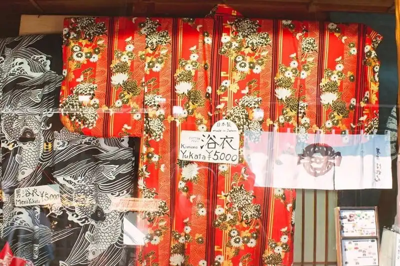 wanderlust-tips-hanh-trinh-15-ngay-du-hanh-nuoc-nhat-dep-nhu-mo-112