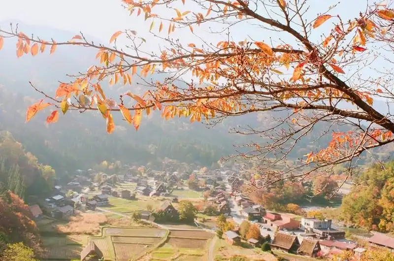 wanderlust-tips-hanh-trinh-15-ngay-du-hanh-nuoc-nhat-dep-nhu-mo-92