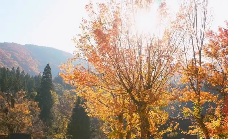 wanderlust-tips-hanh-trinh-15-ngay-du-hanh-nuoc-nhat-dep-nhu-mo-93