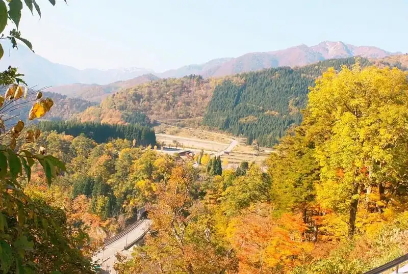 wanderlust-tips-hanh-trinh-15-ngay-du-hanh-nuoc-nhat-dep-nhu-mo-97