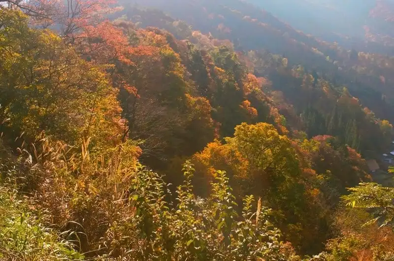 wanderlust-tips-hanh-trinh-15-ngay-du-hanh-nuoc-nhat-dep-nhu-mo-98