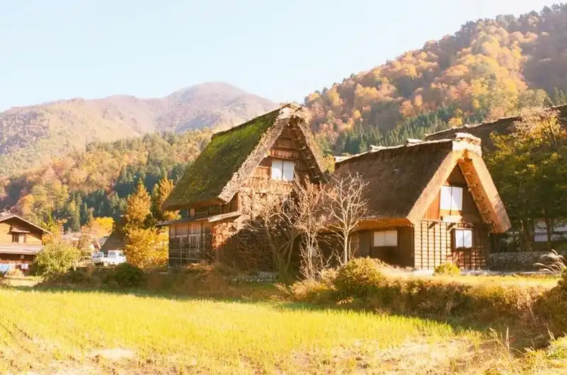 wanderlust-tips-hanh-trinh-15-ngay-du-hanh-nuoc-nhat-dep-nhu-mo-99