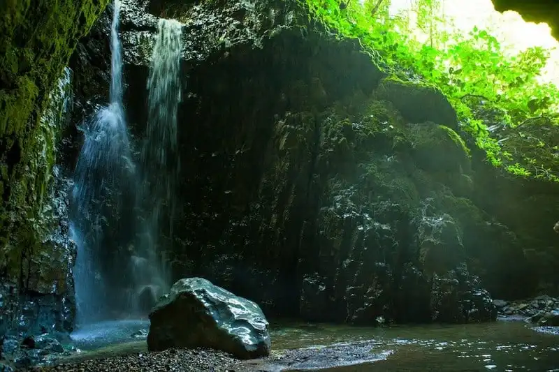 wanderlust-tips-khach-san-nha-cay-dep-nhu-mo-o-costa-rica-12