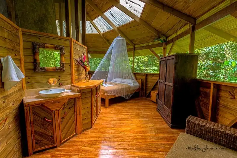 wanderlust-tips-khach-san-nha-cay-dep-nhu-mo-o-costa-rica-4