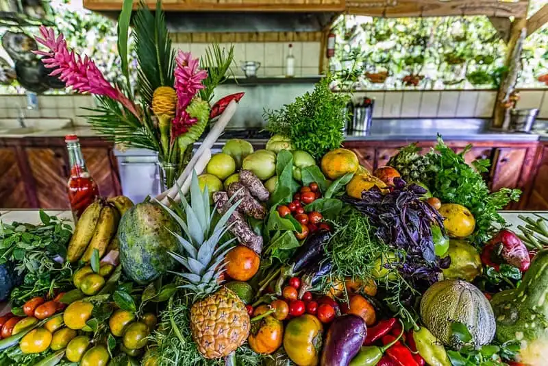 wanderlust-tips-khach-san-nha-cay-dep-nhu-mo-o-costa-rica-8