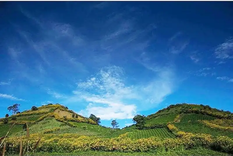 Chinh phục Chư Đăng Ya, ngắm hoa dã quỳ đẹp ngây ngất 6 wanderlust-tips-kham-pha-nui-lua-chu-dang-ya-ngam-hoa-da-quy-dep-ngay-ngat-5