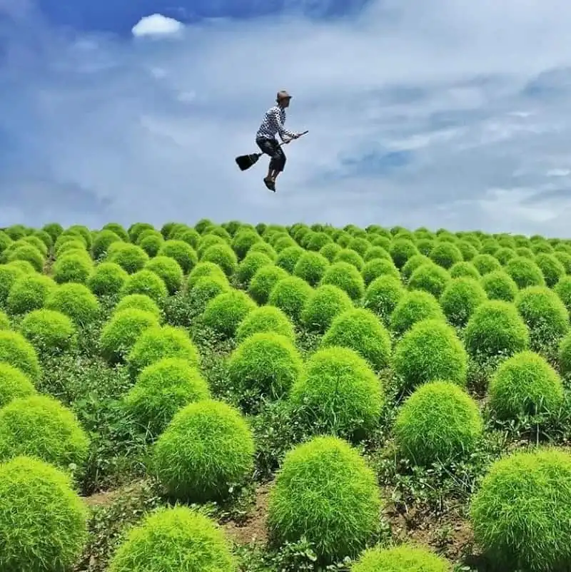 wanderlust-tips-nhiep-anh-gia-cuoi-choi-bay-khap-the-gioi-3