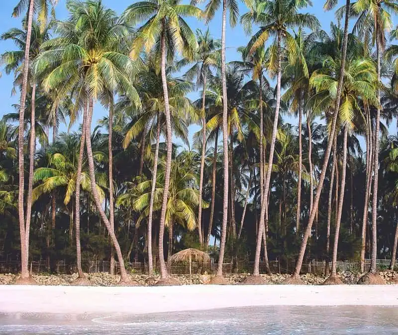 wanderlust-tips-nhung-hinh-anh-dep-nhu-mo-cua-cap-doi-bo-viec-de-di-du-lich-10