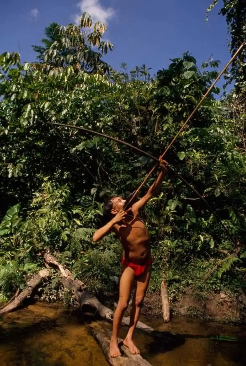 wanderlust-tips-phat-hien-bo-toc-sap-tuyet-chung-trong-rung-amazon-6