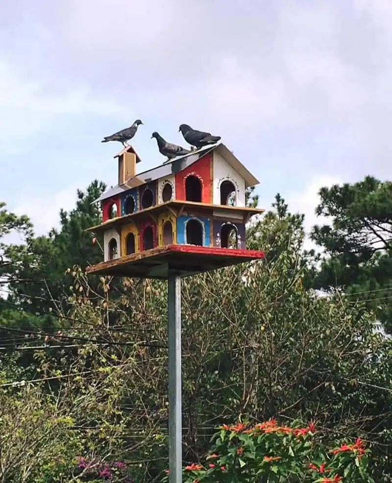 Phát hiện homestay tí hon như trong cổ tích tại Đà Lạt 20 wanderlust-tips-phat-hien-homestay-ti-hon-nhu-trong-co-tich-tai-da-lat-4
