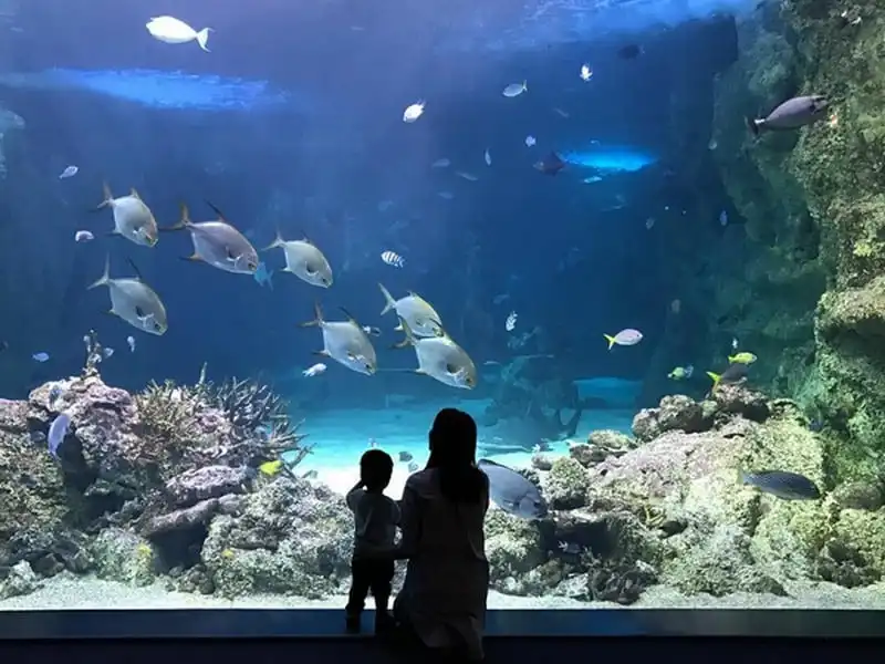 wanderlust-tips-sao-viet-vi-vu-thang-11-8