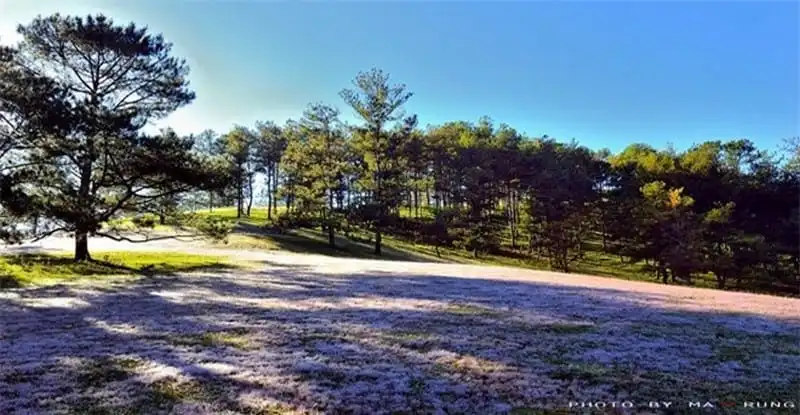 wanderlust-tips-toi-lam-dong-nhat-dinh-phai-ghe-nhung-noi-tuyet-dep-nay-13