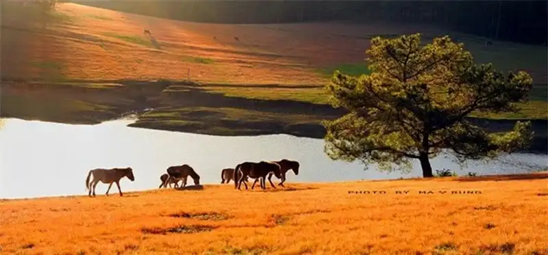 wanderlust-tips-toi-lam-dong-nhat-dinh-phai-ghe-nhung-noi-tuyet-dep-nay-14