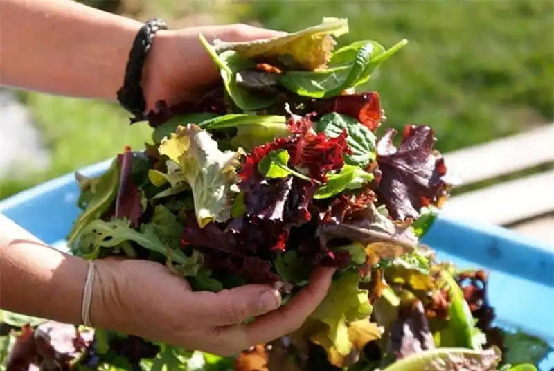 wanderlust-tips-toi-lam-dong-nhat-dinh-phai-ghe-nhung-noi-tuyet-dep-nay-21