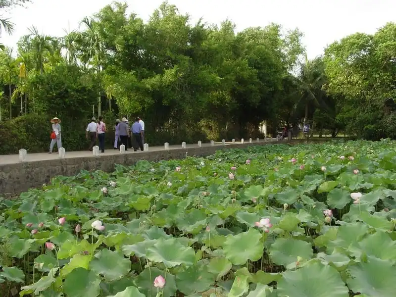 Tổng hợp kinh nghiệm du lịch Nghệ An 10 wanderlust-tips-tong-hop-kinh-nghiem-du-lich-nghe-an-2