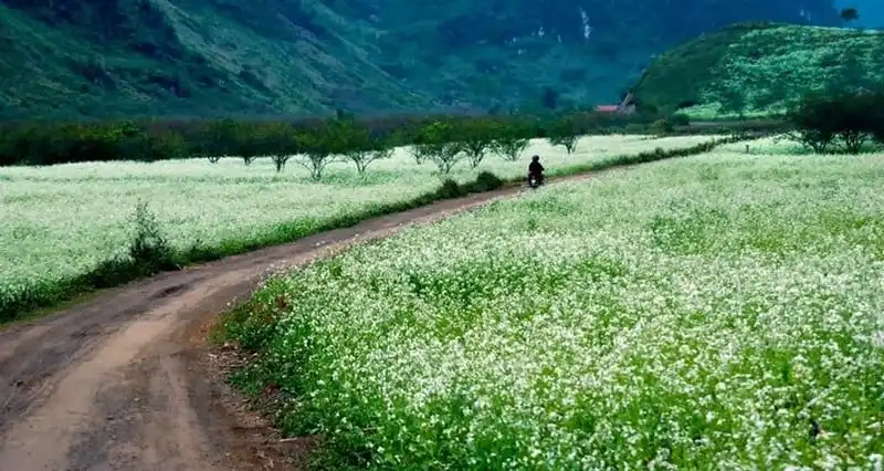 Top điểm đến lý tưởng cho chuyến độc hành dịp năm mới 2017 8 wanderlust-tips-top-diem-den-ly-tuong-cho-chuyen-doc-hanh-2017-4
