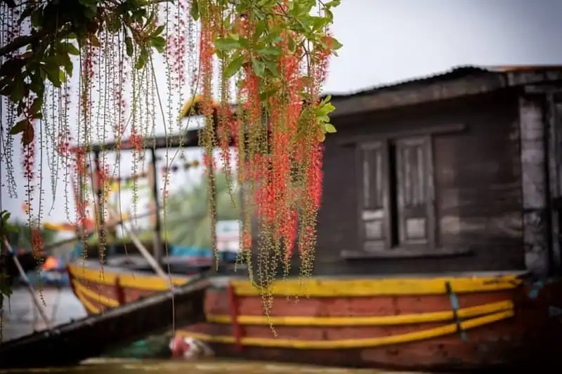 wanderlust-tips-ve-dep-hoi-an-mua-nuoc-lu-2