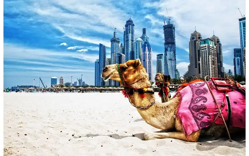 12 điều nên biết trước khi đến Dubai 5 wanderlust_tips_12_dieu_can_biet_khi_den_dubai_1
