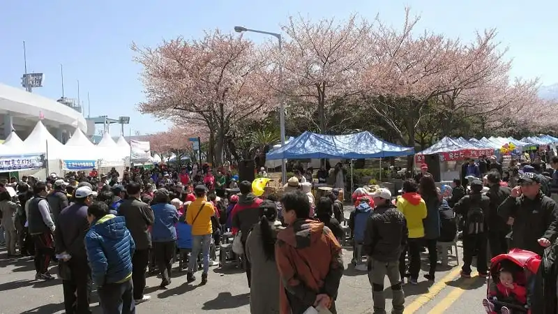 Đến Hàn Quốc đừng bỏ lỡ các lễ hội mùa xuân 8 wanderlust_tips_4_le_hoi_mua_xuan_han_quoc_4