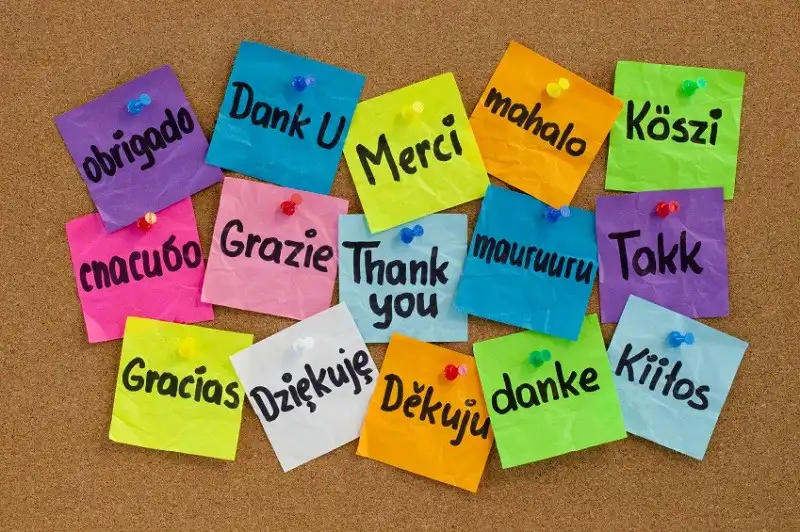 Thank you in sixteen languages - colorful sticky notes with handwriting on cork bulletin board